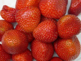 Выращивание ягод