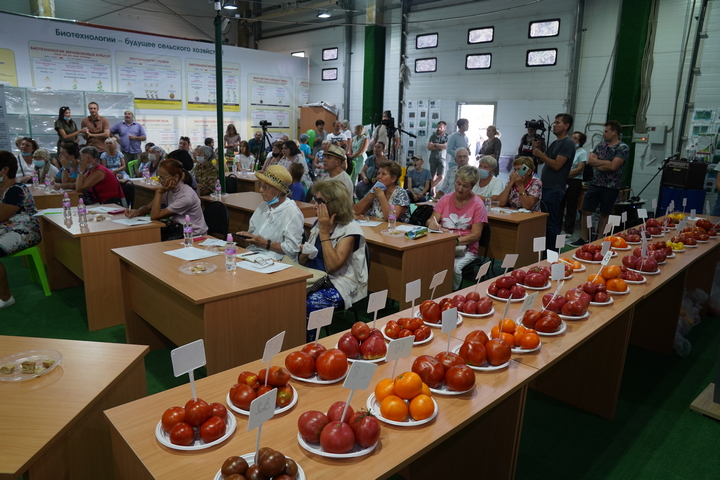 Полный зал людей на дегустации народных сортов томатов