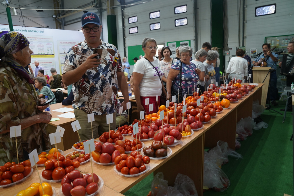 Гости на дегустации томатов