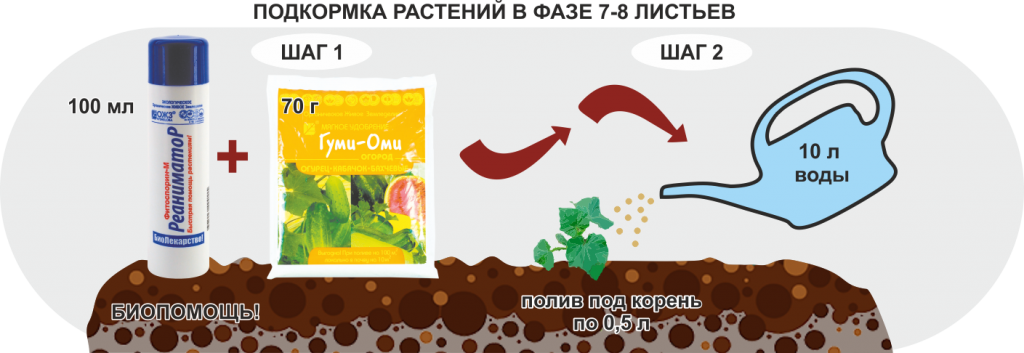 Внекорневая подкормка огурцов калием. Подкормка по листу. Название подкормки для помидор. Удобрение по листу для томатов. Подкормки для огурцов в теплице поэтапно.