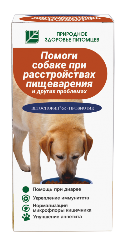 Помоги собаке при расстройстве пищеварения