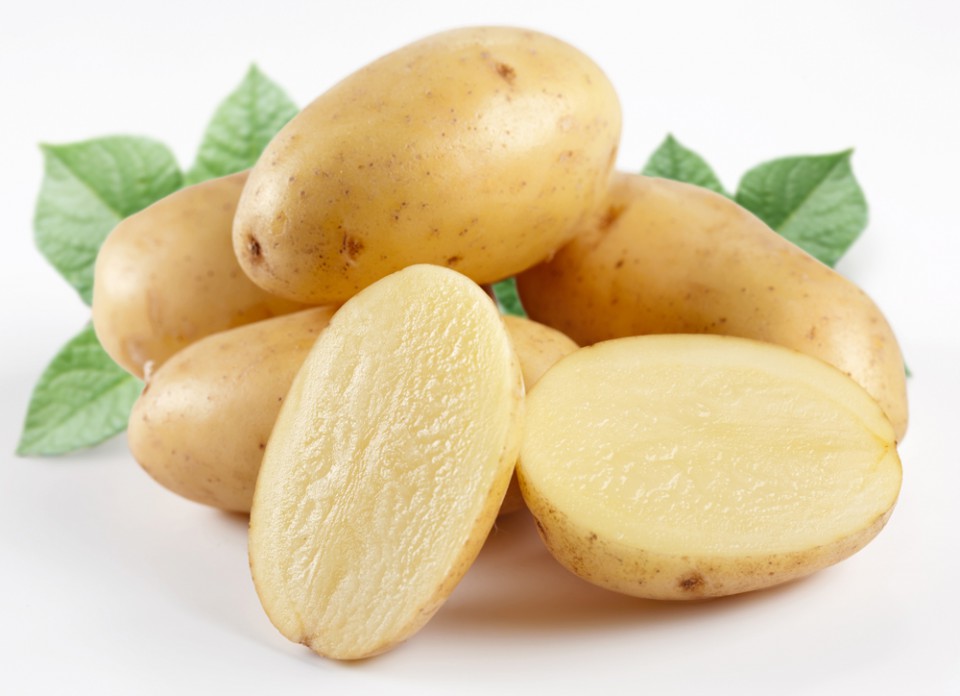 здоровые клубни картофеля