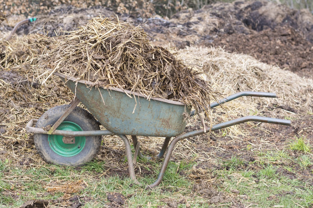 Секреты Тимирязевки: Удобрения своими руками могут повысить урожай