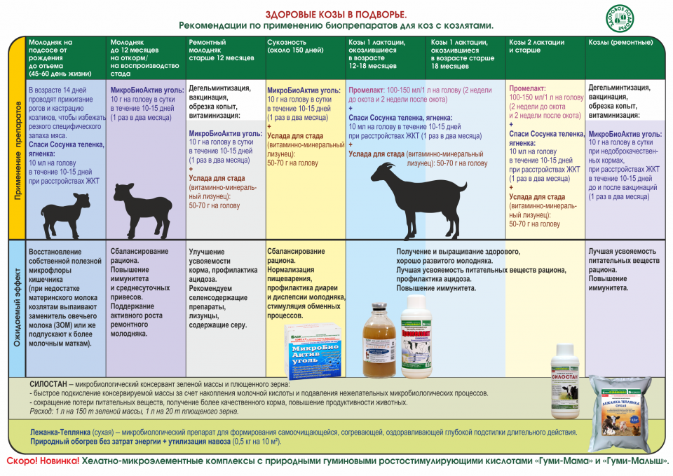 Седимин для коз дозировка. Витамины для коз. Витамины для козы после окота. Таблица препаратов для коз.