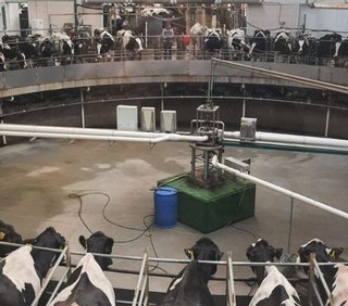Оренбургское хозяйство испытывает препараты «БашИнком» для продуктивного животноводства