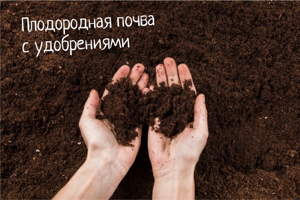 Плодородная почва с удобрениями