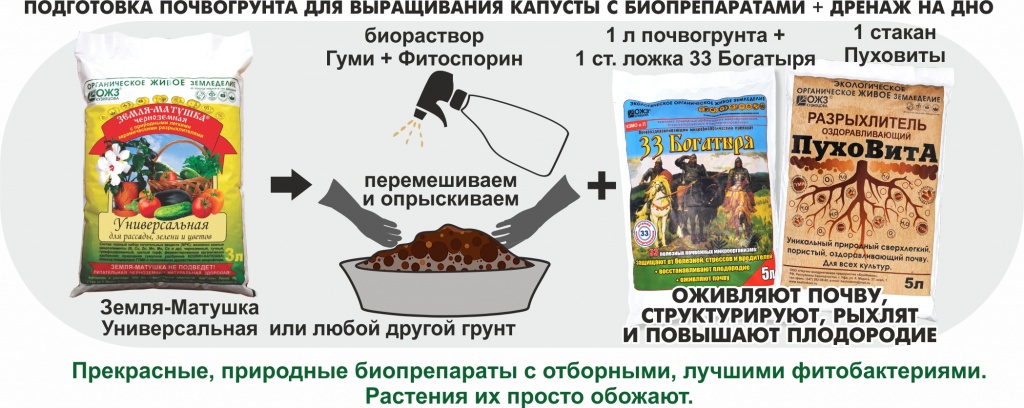 Чем подкормить цветную капусту. Биопрепараты для почвы. Биопрепараты для обеззараживания почвы для рассады. Земля Матушка для рассады. Почвогрунт для рассады.